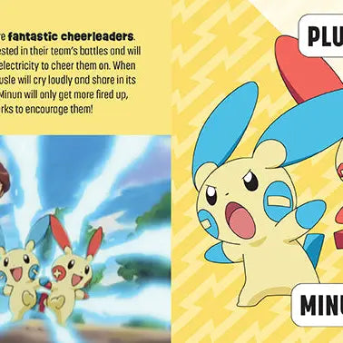 Pokémon: Trainer's Mini Exploration Guide To Hoenn