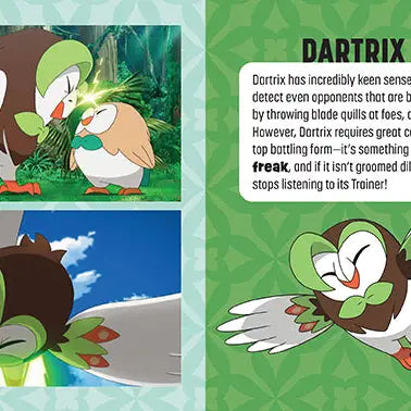 Pokemon Mini Exploration Guide To Alola