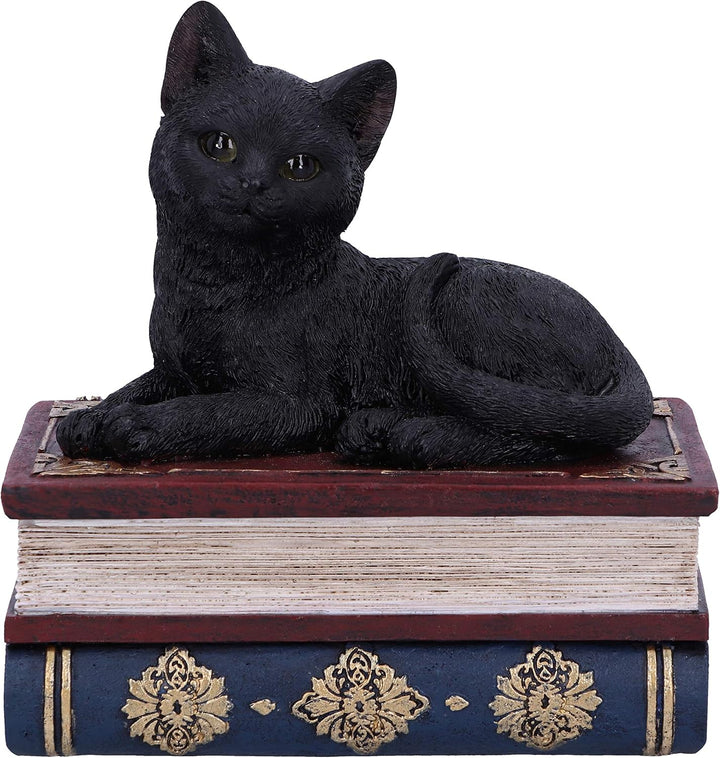 Salems Spells Black Cat and Spellbook Trinket Jewelry Box