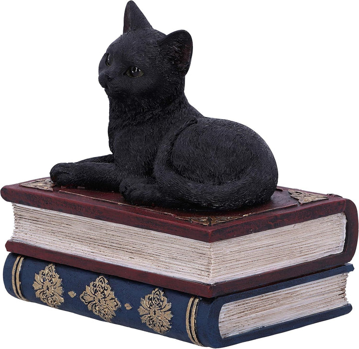 Salems Spells Black Cat and Spellbook Trinket Jewelry Box