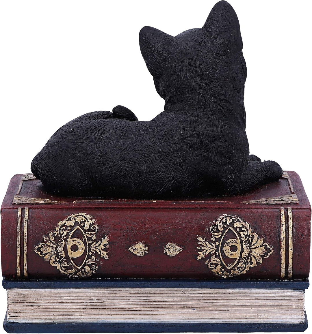 Salems Spells Black Cat and Spellbook Trinket Jewelry Box