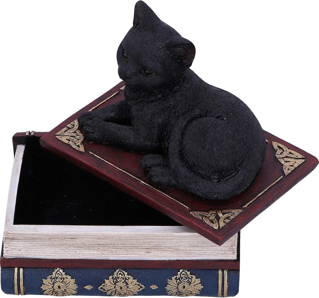Salems Spells Black Cat and Spellbook Trinket Jewelry Box