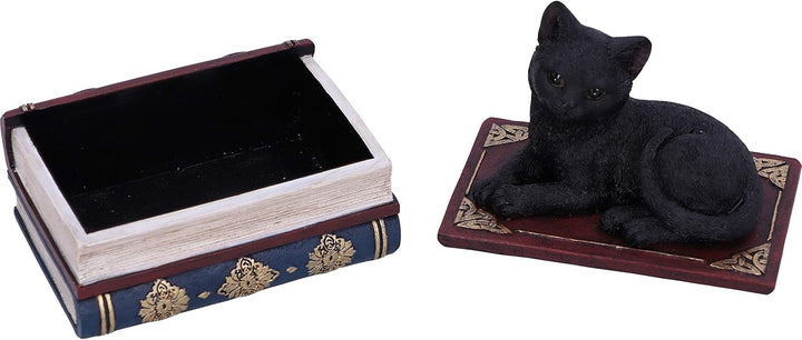 Salems Spells Black Cat and Spellbook Trinket Jewelry Box