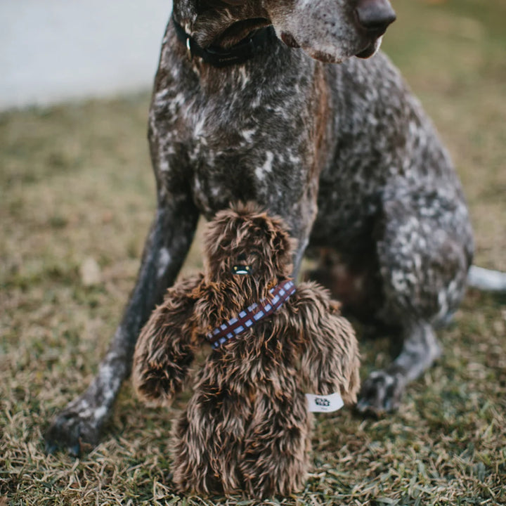Star Wars Chewbacca Squeaker Plush Dog Toy - Small