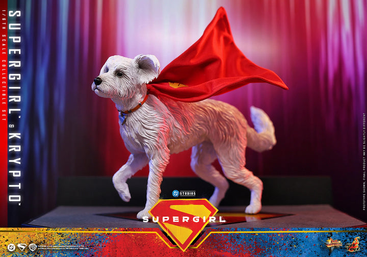 *Pre-Order* Supergirl &amp; Krypto (DC Comics) Sixth Scale Figure Set by Hot Toys