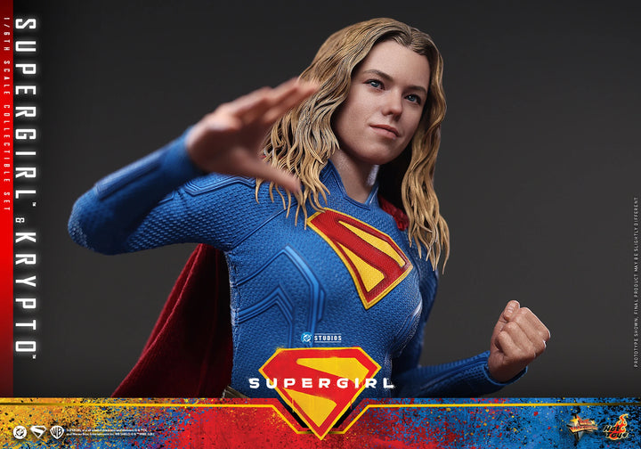 *Pre-Order* Supergirl &amp; Krypto (DC Comics) Sixth Scale Figure Set by Hot Toys