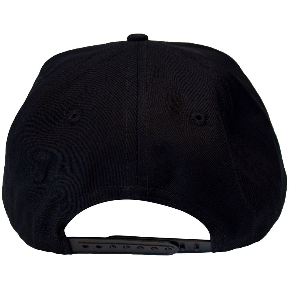 The Beastie Boys Snapback Hat Check Your Head Logo (Black)