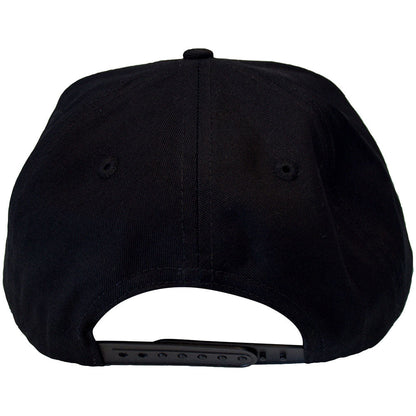 The Beastie Boys Snapback Hat Check Your Head Logo (Black)