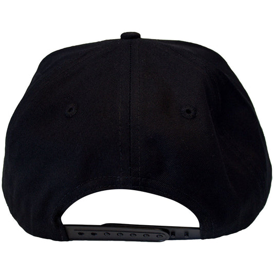 The Beastie Boys Snapback Hat Check Your Head Logo (Black)
