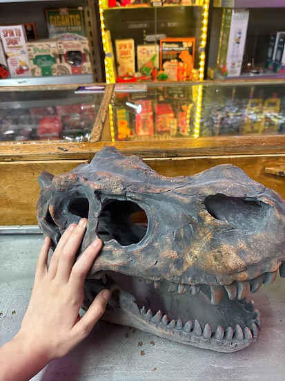 Tyrannosaurus Rex 15" Wall-Hanging Dinosaur Skull