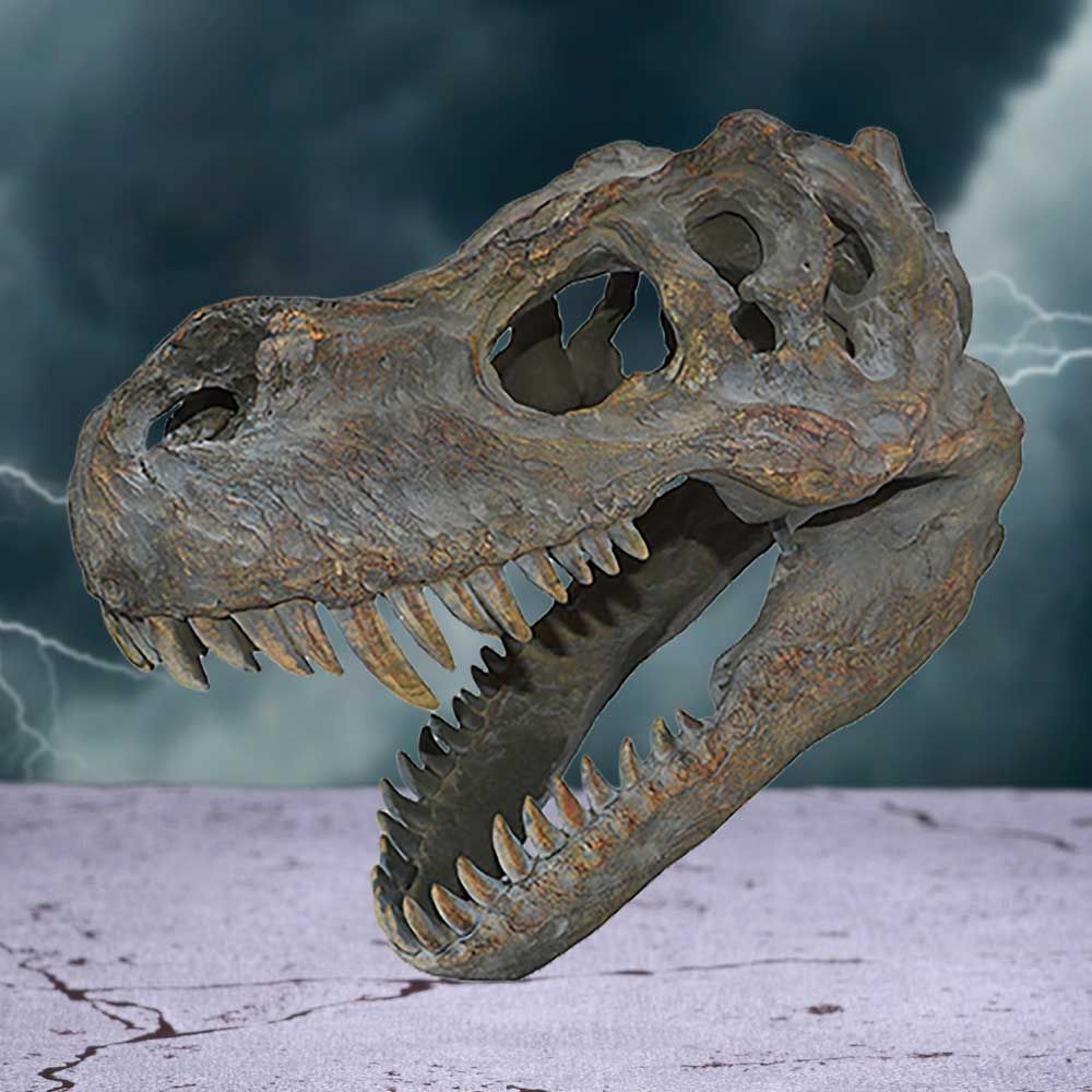 Tyrannosaurus Rex 15" Wall-Hanging Dinosaur Skull