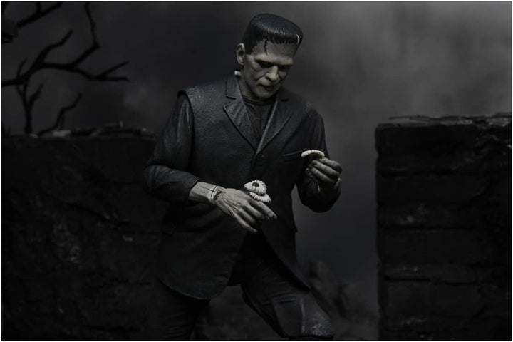 Universal Frankenstein&