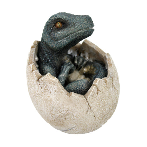 Velociraptor (Sitting in Shell) Hatchling Jurassic Dinosaur Figurine