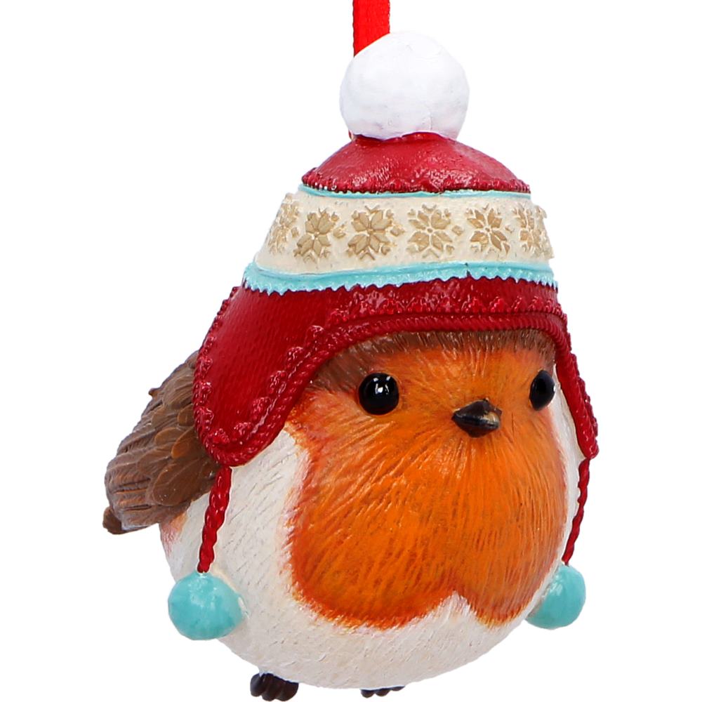 Winter Robin Hanging Bird Holiday Ornament
