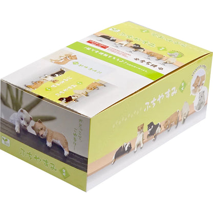 Yell Playful Hanging Shiba Inu Dog Blind Box Asst (Box of 10)