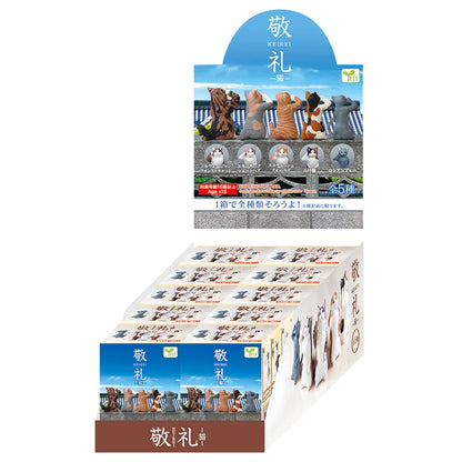 Yell Salute Cats Blind Box Asst (Box of 10)
