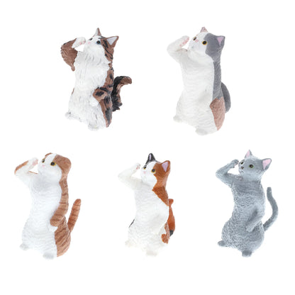 Yell Salute Cats Blind Box Asst (Box of 10)