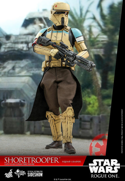 Star Wars Shoretrooper Squad Leader Sixth Scale Figure by Hot Toys