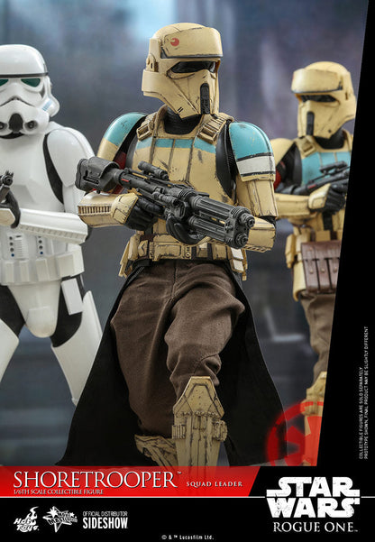 Star Wars Shoretrooper Squad Leader Sixth Scale Figure by Hot Toys