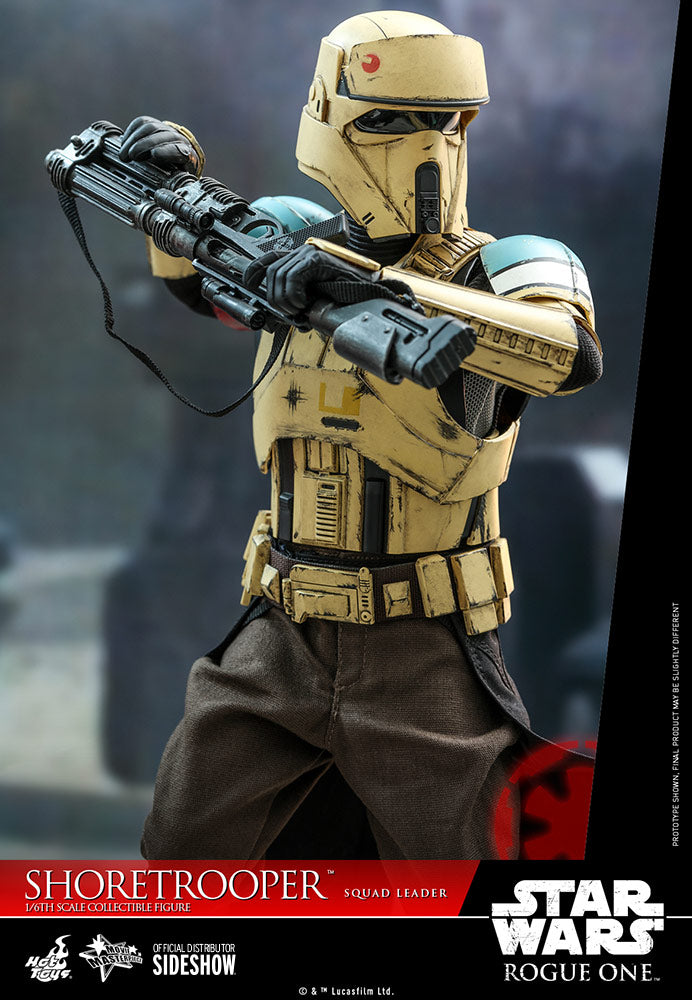 Star Wars Shoretrooper Squad Leader Sixth Scale Figure by Hot Toys