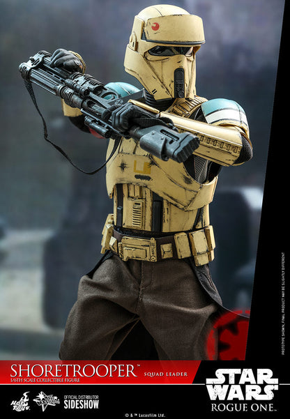 Star Wars Shoretrooper Squad Leader Sixth Scale Figure by Hot Toys
