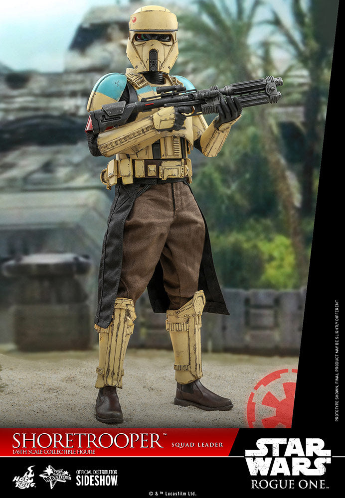 Star Wars Shoretrooper Squad Leader Sixth Scale Figure by Hot Toys