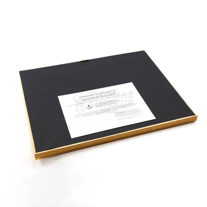 Disney Beauty and the Beast: Dancing in the Moonlight - Thomas Kinkade Framed Art Print