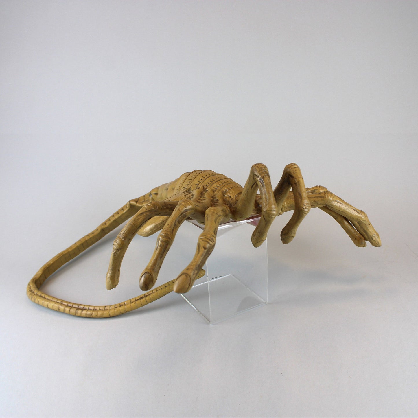 Life-Size Facehugger Aliens Foam Replica NECA