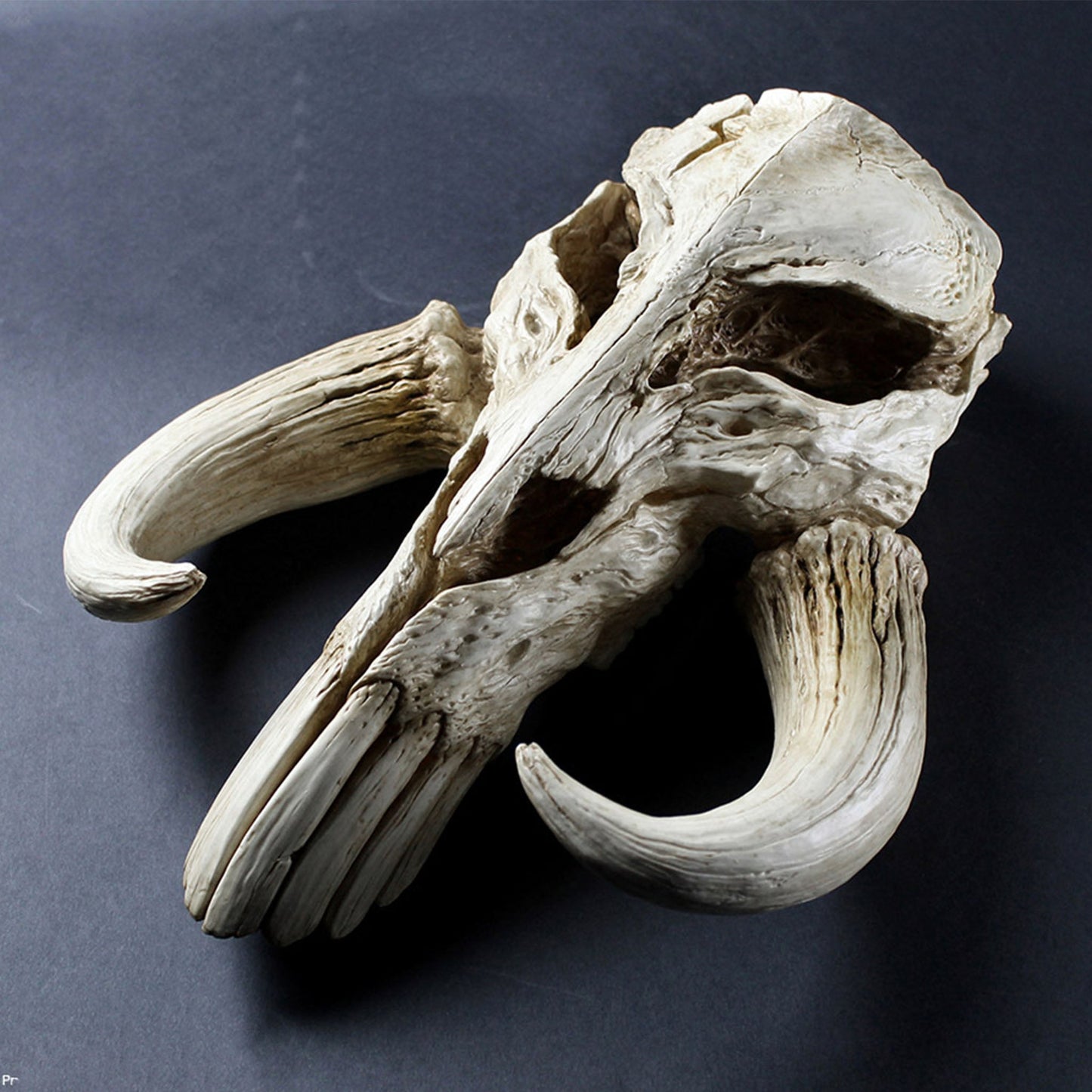 Mandalorian Mythosaur Skull (Star Wars) 17" Replica Wall Sculpture