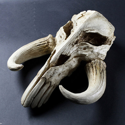 Mandalorian Mythosaur Skull (Star Wars) 17" Replica Wall Sculpture