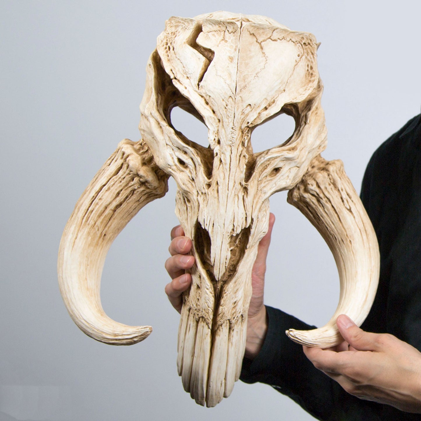 Mandalorian Mythosaur Skull (Star Wars) 17" Replica Wall Sculpture