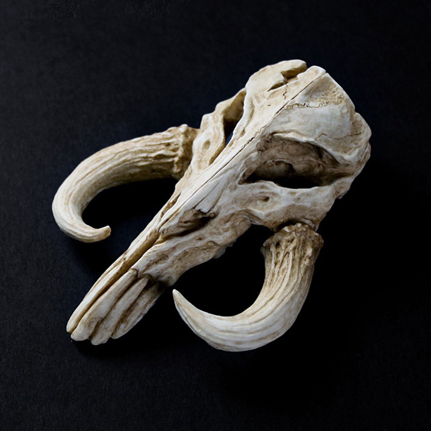 Star Wars Mandalorian Mythosaur Skull 5" Prop Replica Statue