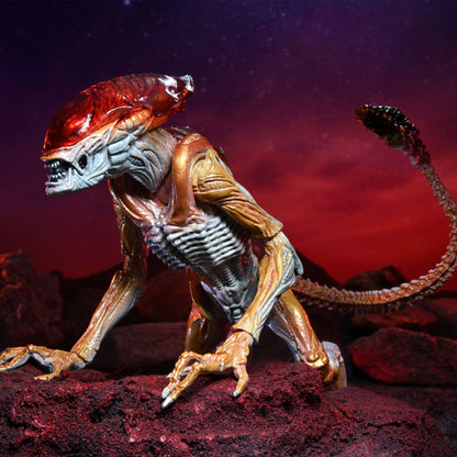 Panther Alien NECA 7" Scale Kenner Tribute Action Figure