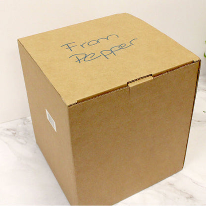 Iron Man Arc Reactor Lighted Full-Scale Prop Replica with Acrylic Case