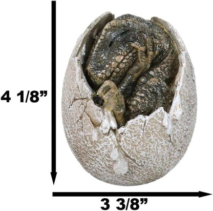 Tyrannosaurus Rex (Sleeping in Egg) Hatchling Jurassic Dinosaur Figurine