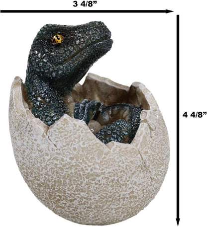 Velociraptor (Sitting in Shell) Hatchling Jurassic Dinosaur Figurine